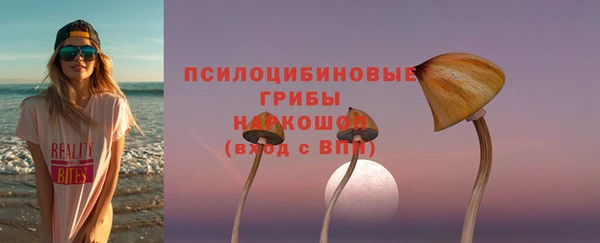 гашик Аркадак